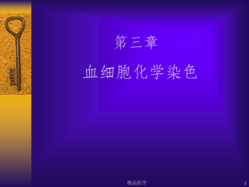 《血细胞化学染色》PPT课件