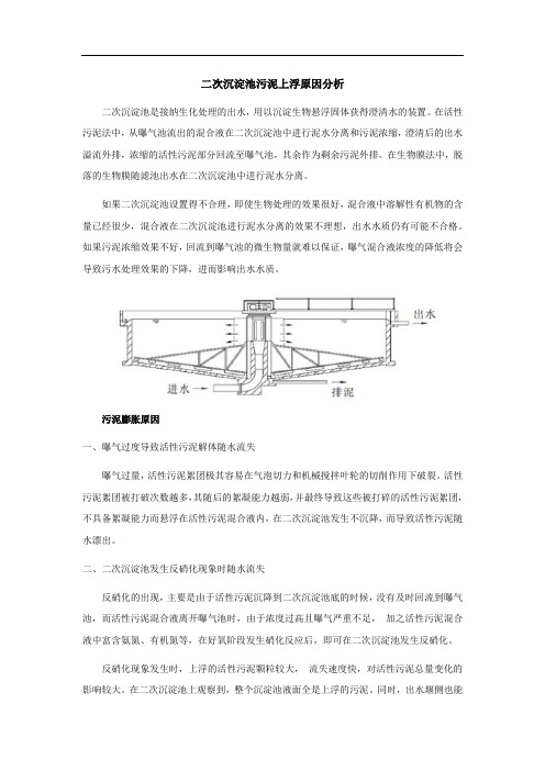 二次沉淀池污泥上浮原因分析