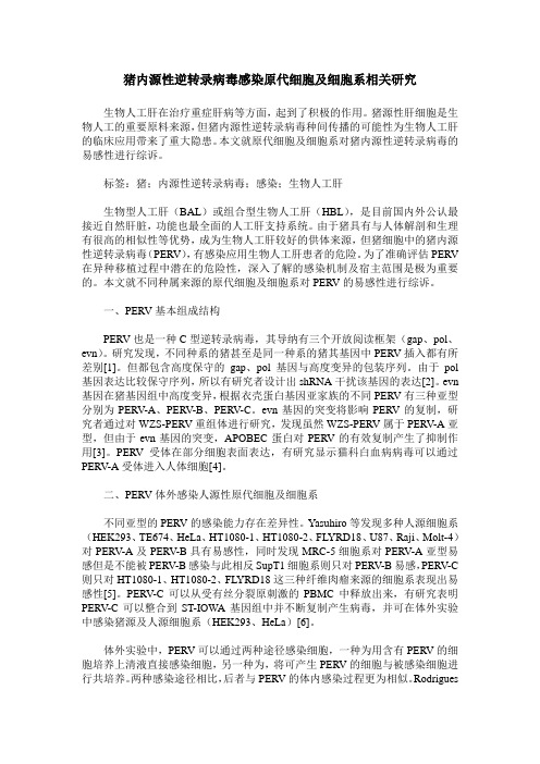猪内源性逆转录病毒感染原代细胞及细胞系相关研究