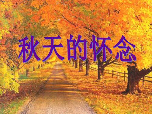 人教版七年级语文上册《秋天的怀念》精品课件(共13张PPT)