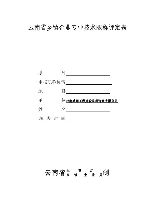 云南省乡镇企业局职称评定表