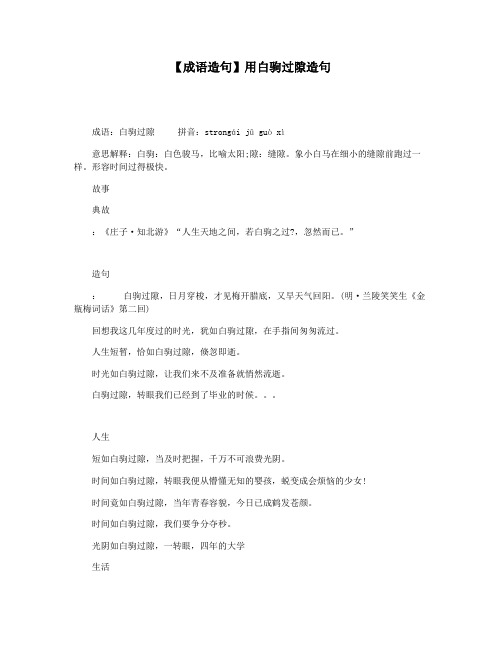 【成语造句】用白驹过隙造句