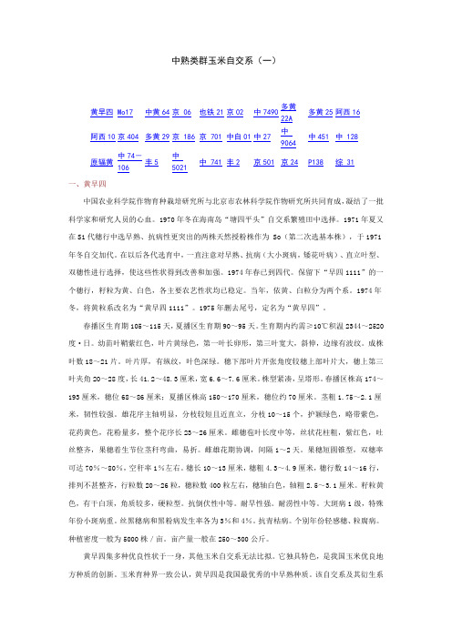中熟类群玉米自交系