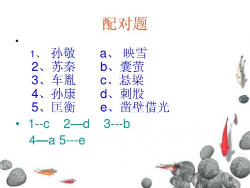 萤火虫好用的课件