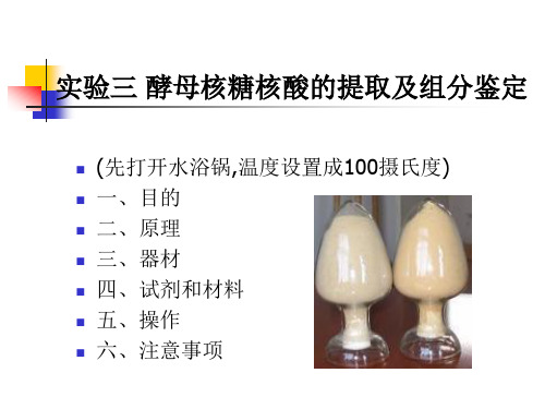 实验三酵母核酸的制备及成份鉴定