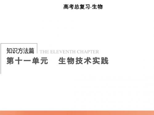 高考生物一轮配套课件：11.41传统发酵技术的应用