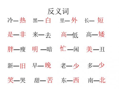 反义词和量词