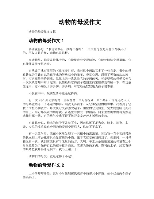动物的母爱作文