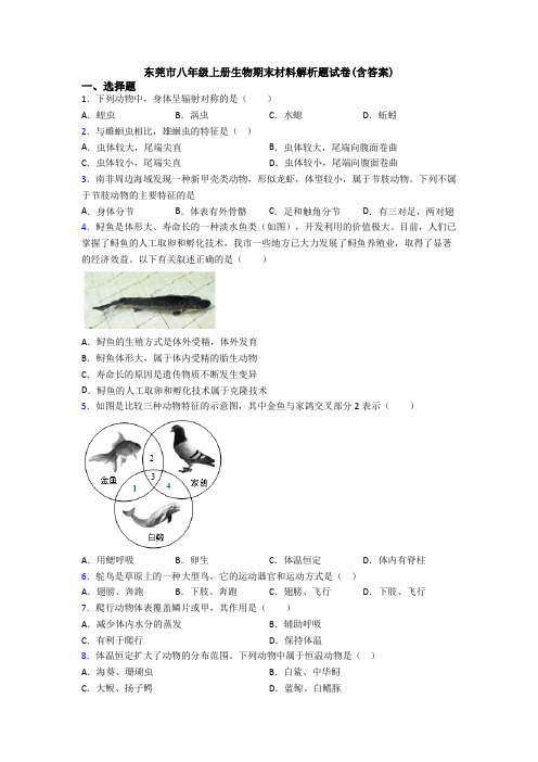 东莞市八年级上册生物期末材料解析题试卷(含答案)