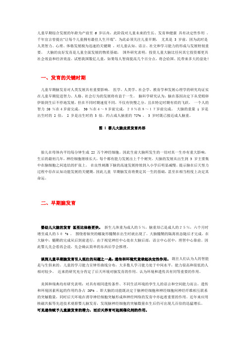 儿童脑的发育