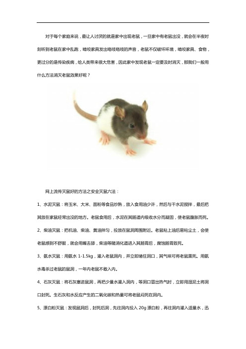 灭鼠的好方法是什么