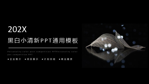 简约黑白小清新艺术范大气工作总结计划ppt模板