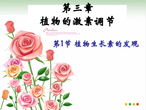 《植物生长素》人教版高中生物专家课件