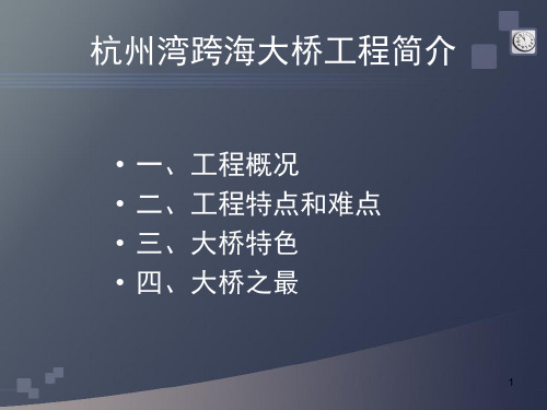 杭州湾跨海大桥(图片展示)