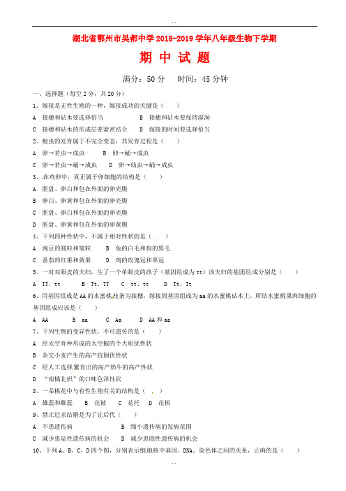 湖北省鄂州市2018-2019学年八年级生物下学期期中试题新人教版(有参考答案)