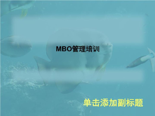 MBO管理培训
