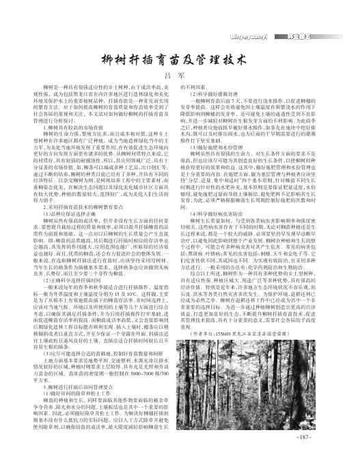 柳树扦插育苗及管理技术