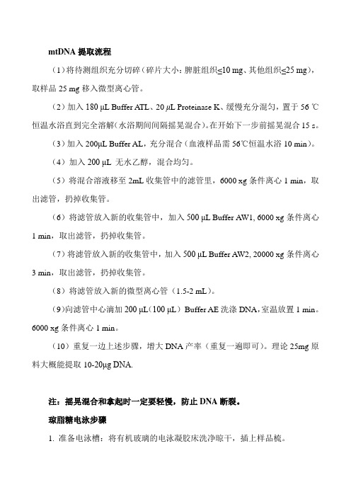 线粒体DNA提取