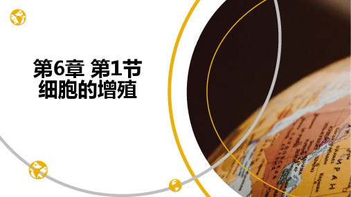 6.1 细胞的增殖-课件高中生物精品公开课