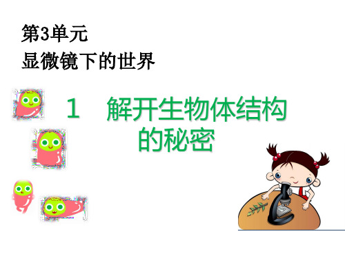 五年级下册科学课件-3.1 解开生物体结构的秘密(10)-湘科版