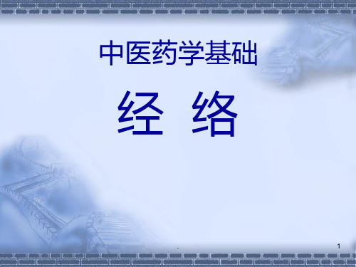 中医基础理论经络PPT课件
