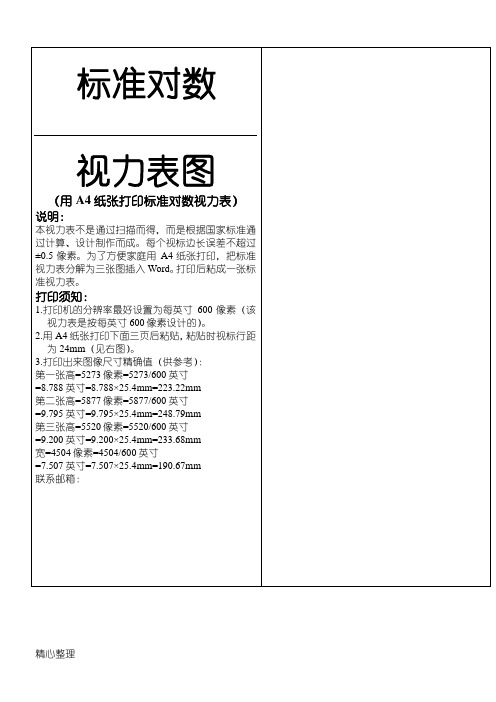 A4 打印标准对数视力表格模板
