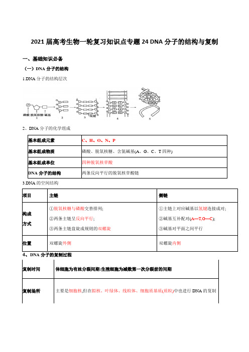 2021届高考生物一轮复习知识点专题24 DNA分子的结构与复制【含解析】