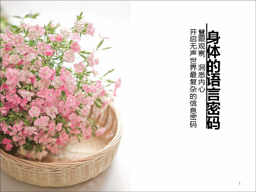 身体的语言密码