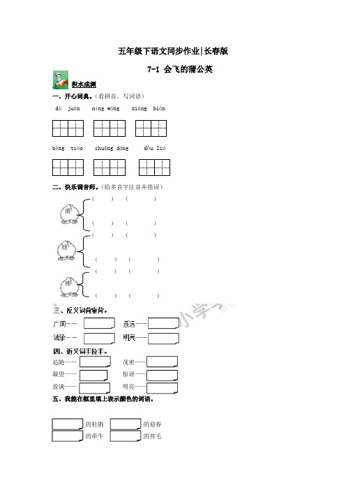 五年级下语文同步作业及答案 7-1 会飞的蒲公英-长春版