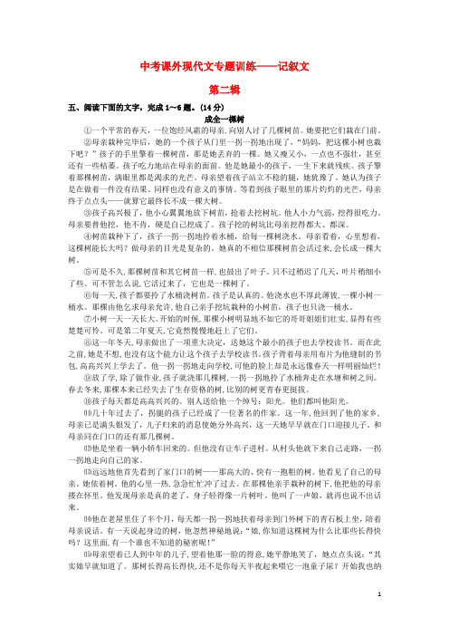 中考语文 课外现代文专题训练 记叙文(第二辑) 新人教版