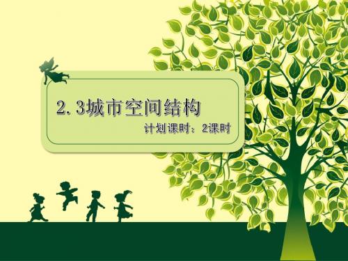城市空间结构(原创精品)