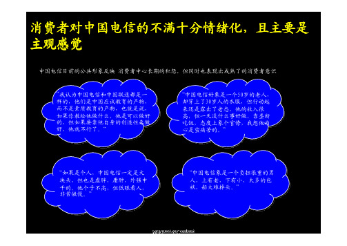 电信产品与服务市场细分研究报告02