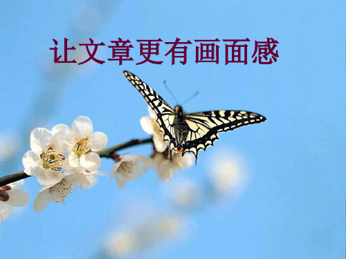 让作文更有画面感[优质PPT]