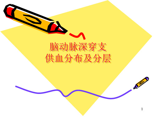 (优质医学)脑动脉各支供血区分布