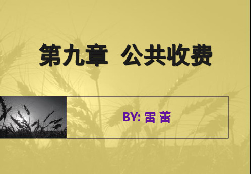 第九章 公共收费