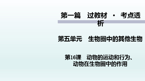 初中生物中考复习 第16课 动物的运动和行为、 动物在生物圈中的作用 2021届中考复习生物课件