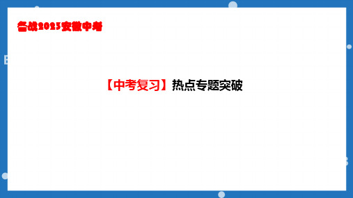 2023年安徽省中考道德与法治专题复习课件：专题八+发展民主+厉行法治