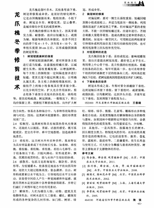 龙爪槐冬季修剪技术