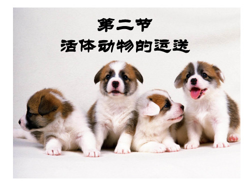 活体动物的运送