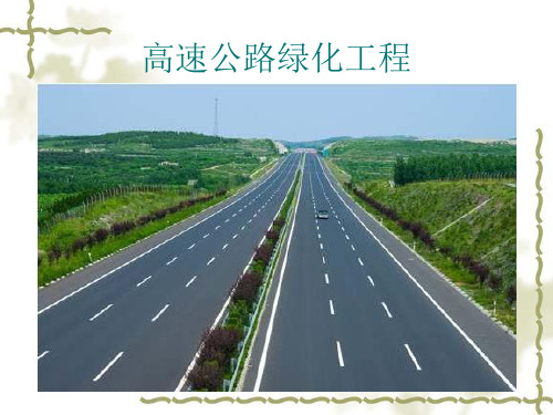 高速公路绿化工程