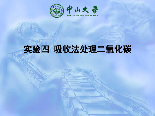 实验4 吸收法处理二氧化碳
