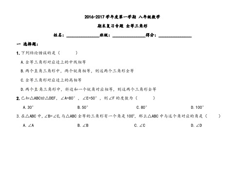 人教版八年级数学上册全等三角形期末复习专题试卷及答案