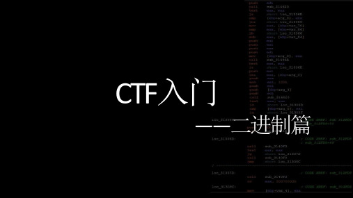 CTF入门——二进制篇