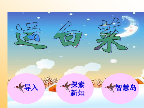 运白菜 课件