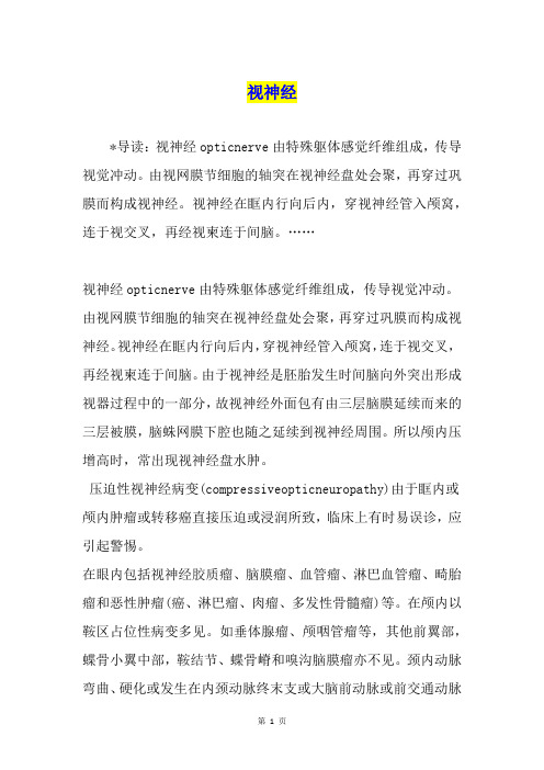 视神经