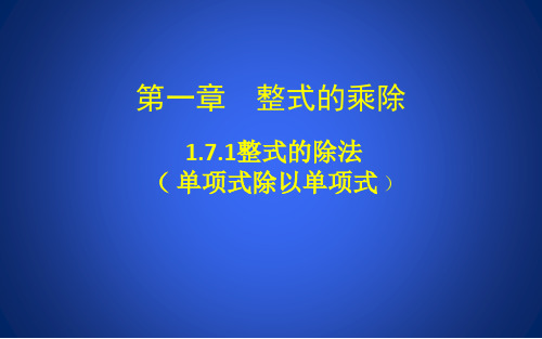 整式的乘除——整式的除法(单项式除以单项式)课件