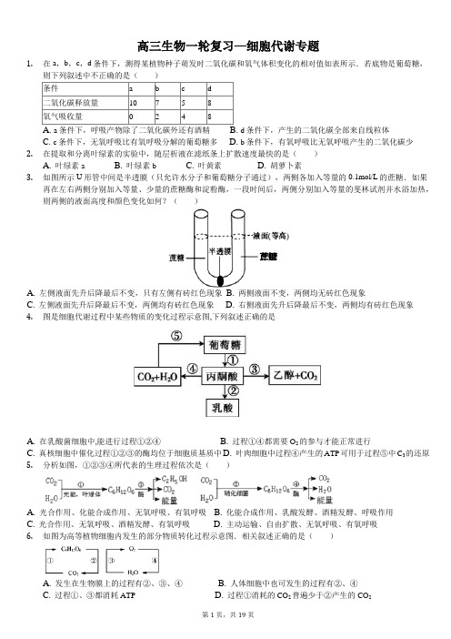 高三生物一轮复习——细胞代谢专题