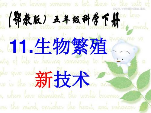 鄂教版五科下11、生物繁殖新技术