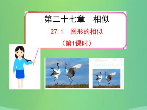 九年级数学下册 第27章 相似 27.1 图形的相似(1)课件 