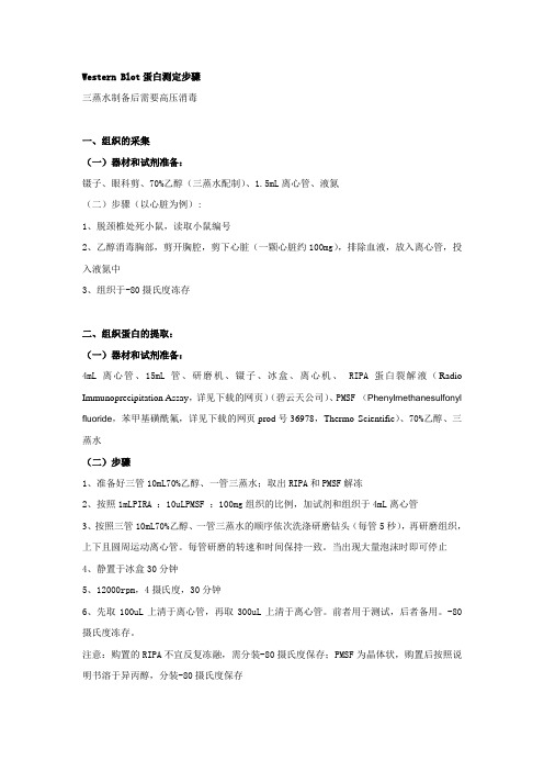 western-blot-相关试剂及步骤
